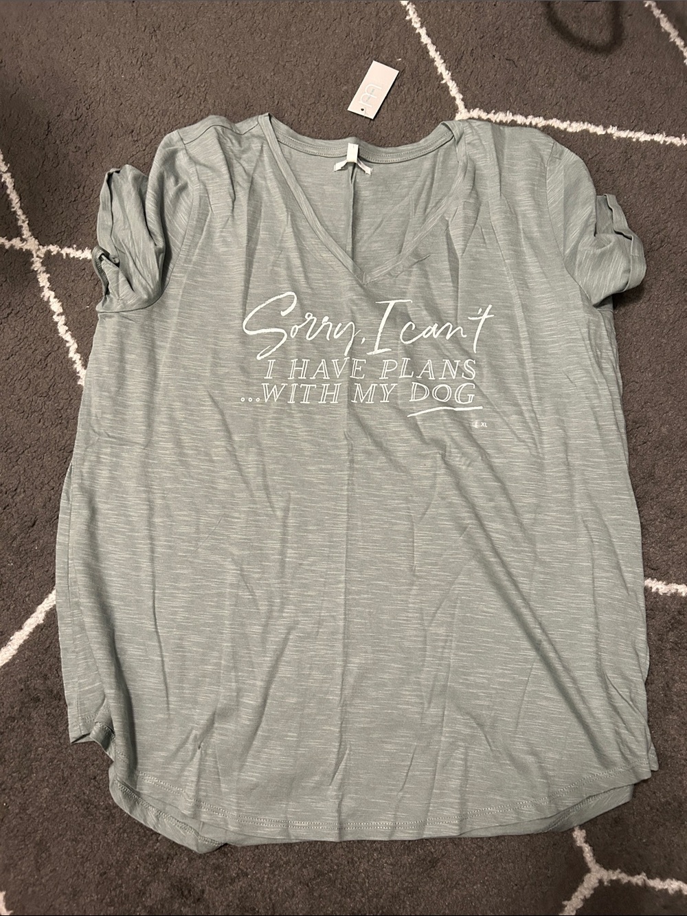 Maurices sage green graphic v-neck tee “sorry, I can’t I have plans with my dog”
